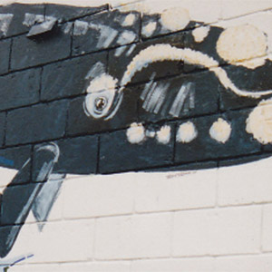 East Warrnambool Whale Mural