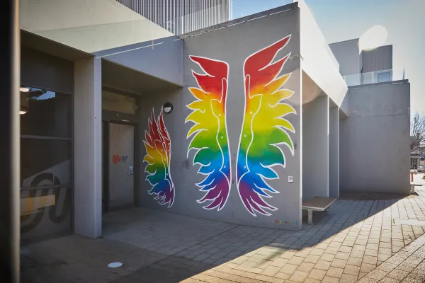 Pride and Diversity Wings