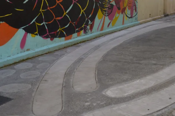 Koontapool Blue Whale Mother