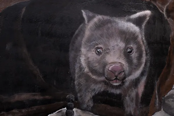 Wombat Bridge Mural